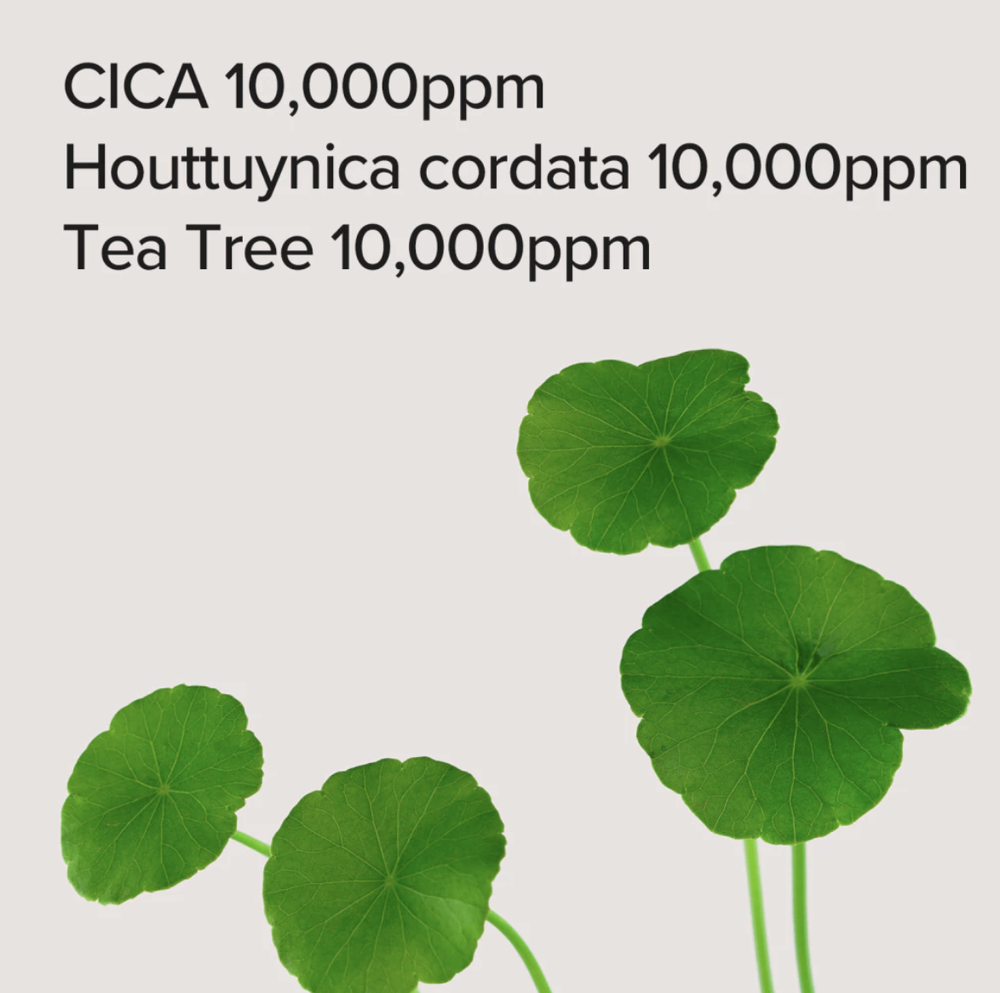 CENTELLA ASIATICA TEA TREE MASK ( 30 unidades )